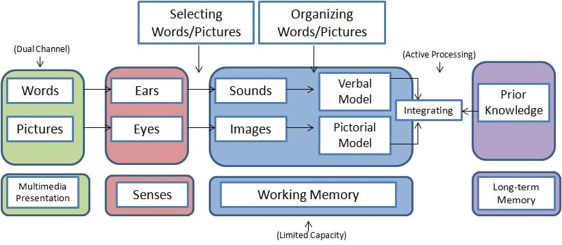 Cognitive Theory of Multimedia Learning (Mayer, 2008)